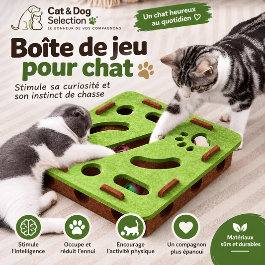 Jeu anti ennui pour chat - Puzzle de chasse avec balles