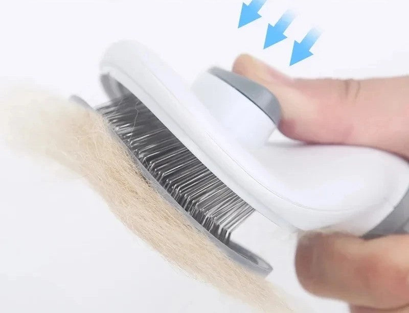 Brosse Auto-Nettoyante pour Chien & Chat | Cat & Dog Selection